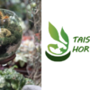 Taison horticulture