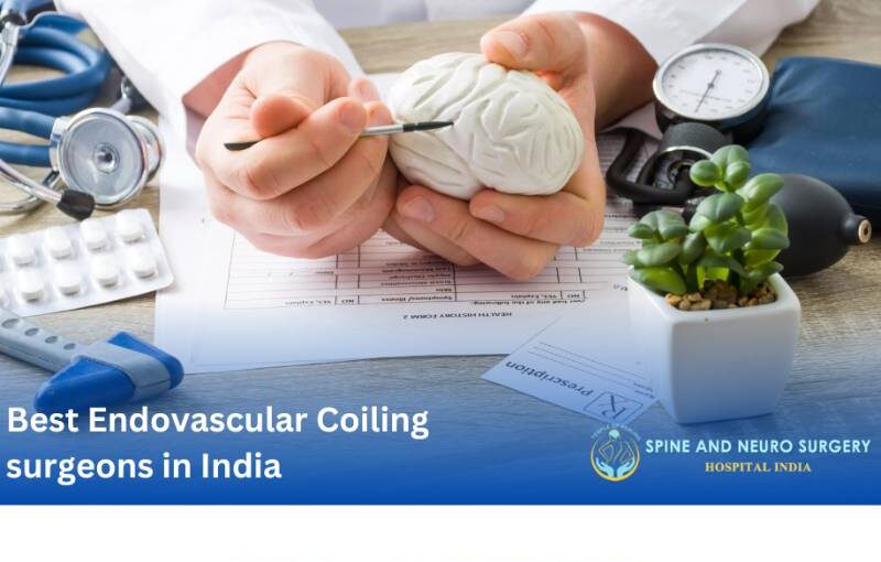 The Top 12 Endovascular Coiling Experts India